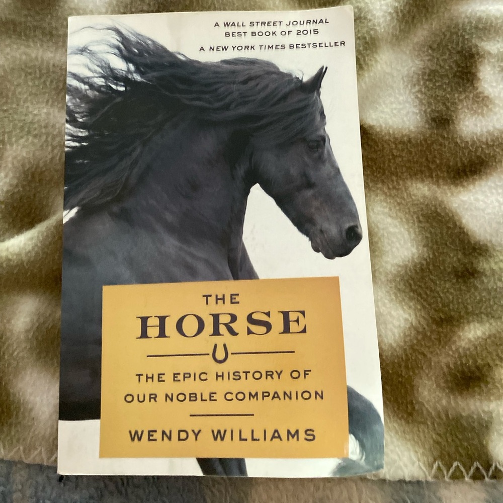 The Horse by Wendy Williams